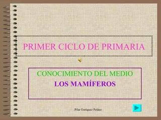 Pilar Enríquez Peláez
PRIMER CICLO DE PRIMARIA
CONOCIMIENTO DEL MEDIO
LOS MAMÍFEROS
 