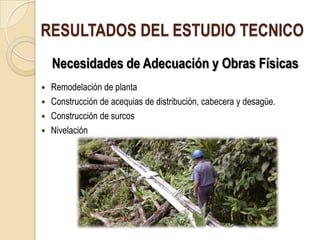 RESULTADOS DEL ESTUDIO TECNICO
    Necesidades de Adecuación y Obras Físicas
 Remodelación de planta
 Construcción de acequias de distribución, cabecera y desagüe.
 Construcción de surcos
 Nivelación
 