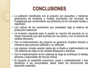 CONCLUSIONES
   La población beneficiada con el proyecto son pequeños y medianos
    productores de hortalizas y frutales promisorios del municipio de
    Fusagasugá que comercializan sus productos en los mercados locales y
    regionales.
   Los cultivos de los productores son manejados bajo el sistema de
    producción tradicional.
   La inversión requerida para la puesta en marcha del proyecto es un
    monto importante que será asumido por los socios y con la solicitud de
    créditos bancarios.
   Con la implementación del proyecto se generaran empleos directos e
    indirectos para personal calificado y no calificado.
   Los ingresos iníciales estarán dados por el diseño e implementación de
    120 sistemas de riego en las veredas Mosqueral y Sardinas.
   Con la implementación de los sistemas de riego se contribuye al manejo
    eficiente y responsable del recurso hídrico.
   El proyecto es sostenible económica, social y ambientalmente y trae
    beneficios a las comunidades desde todos las dimensiones del
    desarrollo sostenible.
 