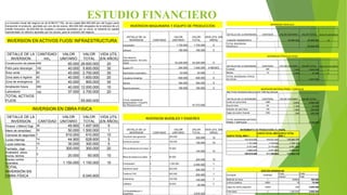 ESTUDIO FINANCIEROLa inversión inicial del negocio es de $198.817.700, de los cuales $64.900.000 son del furgon para
transportar el producto, aportado por uno de los socios, $50.000.000 otorgados de la solicitud de un
crédito financiero, $3.635.000 de muebles y enseres aportados por un socio, el restante es capital
representado en efectivo aportado por los socios, para la inversión del negocio.
INVERSION EN ACTIVOS FIJOS/ INFRAESTRUCTURA
DETALLE DE LA
INVERSION
CANTIDAD/
mt/₂
VALOR
UNITARIO
VALOR
TOTAL
VIDA UTIL
(EN AÑOS)
Construcción de planta 440 65.000 28.600.000 20
Patio para descargar 140 40.000 5.600.000 30
Área verde 60 45.000 2.700.000 30
Zona aseo e higiene 40 40.000 1.600.000 20
Zona de emergencia 20 40.000 800.000 30
Ampliación futura 300 40.000 12.000.000 10
Laboratorio 100 37.000 3.700.000 20
TOTAL ACTIVOS
FIJOS 55.000.000
INVERSION EN OBRA FISICA
DETALLE DE LA
INVERSION CANTIDAD
VALOR
UNITARIO
VALOR
TOTAL
VIDA UTIL
(EN AÑOS)
Pintura (180mt〗^2)gl 30 49.900 1.497.000 5
Mano de obra(días) 30 50.000 1.500.000 1
Cámaras de seguridad 1 610.000 610.000 10
Luces internas 14 44.900 628.600 5
Luces externas 10 30.000 300.000 5
Fachada_ logo 1 300.000 300.000 20
Acabados pisos,
muros, techos.
3
20.000 60.000 10
Equipo contra
incendios
1
1.150.000 1.150.000 10
TOTAL
INVERSIÓN EN
OBRA FÍSICA 6.045.600
INVERSION MAQUINARIA Y EQUIPO DE PRODUCCIÓN
DETALLE DE LA
INVERSION CANTIDAD
VALOR
UNITARIO
VALOR
TOTAL
VIDA UTIL (EN
AÑOS)
computador
1
1.720.000 1.720.000 5
software
1
180.000 180.000 5
Una maquina
pasteurizadora de leche
(clisa)
1
53.200.000 53.200.000 5
Equipo PP
4
250.000 1.000.000 4 MESES
Densímetro( lactómetro)
1
43.000 43.000 1
Licuadora Industrial
1
600.000 600.000 5
Nevera
1
350.000 350.000 5
Bascula gramera
1
180.000 180.000 5
TOTAL INVERSION
MAQUINARIA Y EQUIPO
DE PRODUCCIÓN 57.273.000
INVERSION MUEBLES Y ENSERES
DETALLE DE LA
INVERSION CANTIDAD
VALOR
UNITARIO
VALOR
TOTAL
VIDA UTIL (EN
AÑOS)
Escritorio tipo gerencia 1 325.000
325.000 10
Escritorio auxiliar 1 150.000
150.000 10
Silla profesional con brazo. 2 70.000
140.000 10
Sillas de espera en pasta 4 55.000
220.000 10
Computador 2 1.200.000
2.400.000 3
Impresora laser 1 200.000
200.000 3
Telefono FAX 1 200.000
200.000 3
Estanterias 1 100.000
100.000 5
Cafetera 1 30.000
30.000 5
TOTALMUEBLES Y
ENSERES 3.635.000
INVERSION VEHICULO
DETALLE DE LA INVERSION CANTIDAD VALOR UNITARIO VALOR TOTAL VIDA UTIL (EN AÑOS)
FURGÓN TRANSPORTE
1
64.900.000 64.900.000 20
TOTAL INVERSION
VEHICULO 64.900.000
INVERSION OTROS ACTIVOS
DETALLE DE LA INVERSION CANTIDAD VALOR UNITARIO VALOR TOTAL VIDA UTIL (EN AÑOS)
Cubetas 400 7.000 2.800.000 5
Baldes 15 2.500 37.500 5
TOTAL INVERSION OTROS
ACTIVOS 2.837.500
INVERSION MATERIA PRIMA Y EMPAQUE
Mat. Prima necesaria para producir 1050 Kg mensual
DETALLE DE LA INVERSION CANTIDAD VALOR UNITARIO VALOR TOTAL
Leche en polvo kilos 1260 6.800 8.568.000
Azucar kilos 54 1.700 91.800
Almidón de maíz kilos 126 1.800 226.800
Cajas de cartón Grande 1200 200 240.000
TOTAL INVERSION MATERIA
PRIMA Y EMPAQUE 9.126.600
INCREMENTO DE PRODUCCIÓN 2% ANUAL
COSTO TOTAL AÑO 1
COSTO TOTAL AÑO
1
COSTO TOTAL
AÑO 1
102.816.000 104.872.320 106.969.766
1.101.600 1.123.632 1.146.105
2.721.600 2.776.032 2.831.553
2.880.000 2.937.600 2.996.352
109.519.200 111.709.584 113.943.776
GASTOS GENERALES
Concepto Cantidad
Costo Costo
unitario Total
Material de Aseo 1 150000 150.000
Lamina plastica 5000 15 75.000
Cajas de cartón pequeña 12000 250 3.000.000
Publicidad 3 1.200.000 3.600.000
 