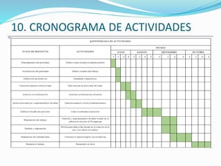 10. CRONOGRAMA DE ACTIVIDADES
 