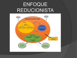 ENFOQUE
REDUCIONISTA
 