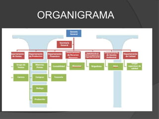 ORGANIGRAMA
 