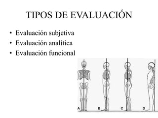 TIPOS DE EVALUACIÓN
• Evaluación subjetiva
• Evaluación analítica
• Evaluación funcional
 