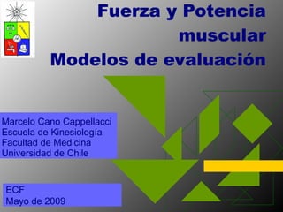 Fuerza y Potencia muscular Modelos de evaluación Marcelo Cano Cappellacci Escuela de Kinesiología Facultad de Medicina Universidad de Chile ECF Mayo de 2009 