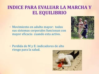 INDICE PARA EVALUAR LA MARCHA Y
EL EQUILIBRIO
• Movimiento en adulto mayor: todos
sus sistemas corporales funcionan con
mayor eficacia cuando esta activo.
• Perdida de M y E: indicadores de alto
riesgo para la salud.
 