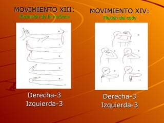 MOVIMIENTO XIII: Extensión de la muñeca Derecha-3 Izquierda-3 MOVIMIENTO XIV: Flexión del codo Derecha-3 Izquierda-3 