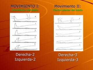 MOVIMIENTO I: Dorsiflexión del tobillo Derecha-2 Izquierda-2 Movimiento II: Flexión plantar del tobillo Derecha-3 Izquierda-3 