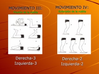 MOVIMIENTO III: Flexión de la rodilla Derecha-3 Izquierda-3 MOVIMIENTO IV: Extensión de la rodilla Derecha-2 Izquierda-2 