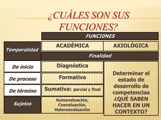 ¿Cuáles son sus funciones?