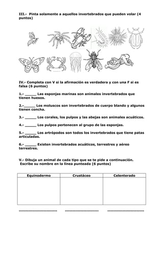 III.- Pinta solamente a aquellos invertebrados que pueden volar (4
puntos)
IV.- Completa con V si la afirmación es verdadera y con una F si es
falsa (6 puntos)
1.- _____ Las esponjas marinas son animales invertebrados que
tienen huesos.
2.-_____ Los moluscos son invertebrados de cuerpo blando y algunos
tienen concha.
3.- _____ Los corales, los pulpos y las abejas son animales acuáticos.
4.- _____ Los pulpos pertenecen al grupo de las esponjas.
5.- _____ Los artrópodos son todos los invertebrados que tiene patas
articuladas.
6.- _____ Existen invertebrados acuáticos, terrestres y aéreo
terrestres.
V.- Dibuja un animal de cada tipo que se te pide a continuación.
Escribe su nombre en la línea punteada (6 puntos)
Equinodermo Crustáceo Celenterado
------------------------- ---------------------- ------------------------