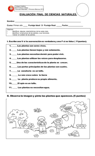 Colegio Católico
North American College
Ciencias Naturales - Primeros Básicos 2015
EVALUACIÓN FINAL DE CIENCIAS NATURALES.
Nombre: _______________________________________________________________
Curso: Primer año ____ Puntaje Ideal: 36 Puntaje Real: _____ Fecha:______________
Objetivos:
• Identifican algunas características de los seres vivos.
• Identificar la estructura de las plantas y sus funciones.
Valorar el cuidado de las plantas.
I. Escribe una V si la aseveración es verdadera y una F si es falsa ( 11puntos).
1. _____ Las plantas son seres vivos.
2. _____ Las plantas tienen hojas y raíz solamente.
3. _____ Las plantas necesitan dormir para poder vivir.
4. _____ Las plantas utilizan las raíces para desplazarse.
5. _____Una de las características de la planta es crecer.
6. ______Las partes principales de las plantas son cuatro.
7. ______La zanahoria es un tallo.
8. ______ La raíz crece sobre la tierra
9. _____ La planta produce su propio alimento.
10.______El apio es un tallo.
11. _____ Las plantas no necesitan agua.
II. Observa la imagen y pinta las plantas que aparecen. (5 puntos)
 