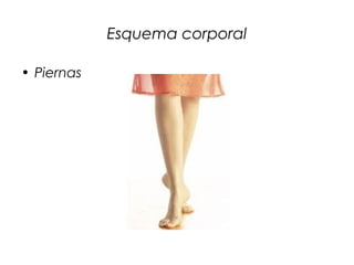 Esquema corporal
• Piernas