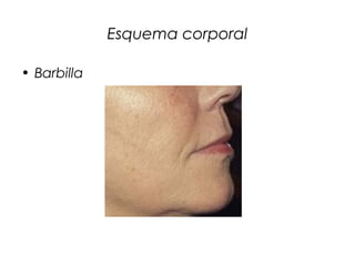 Esquema corporal

• Barbilla
 