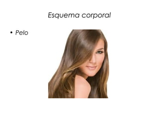 Esquema corporal
• Pelo