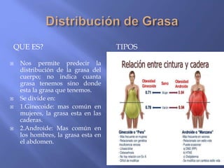 QUE ES? TIPOS
 Nos permite predecir la
distribución de la grasa del
cuerpo; no indica cuanta
grasa tenemos sino donde
esta la grasa que tenemos.
 Se divide en:
 1.Ginecoide: mas común en
mujeres, la grasa esta en las
caderas.
 2.Androide: Mas común en
los hombres, la grasa esta en
el abdomen.
 