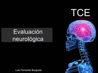 TCE
Evaluación
neurológica

Luis Fernando Burguete

 