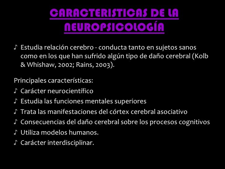 Resultado de imagen para caracteristicas de la neuropsicologia