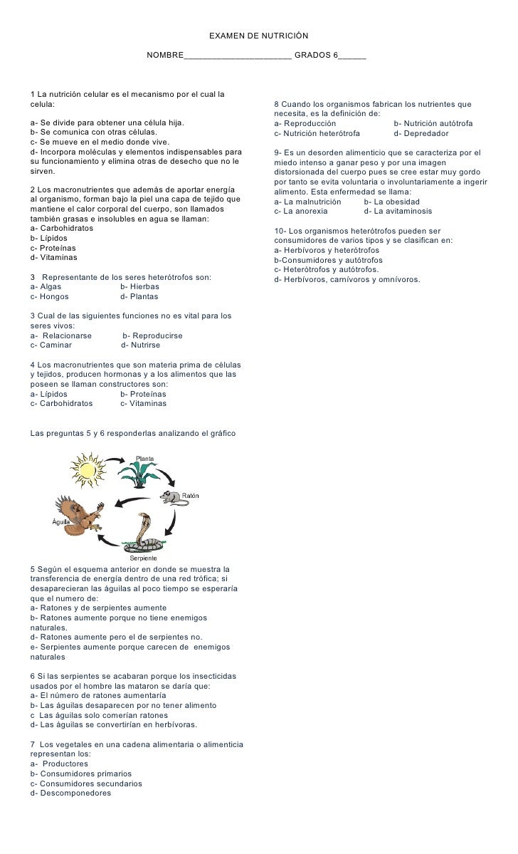 preguntas guia concepto examen test nutrici 243 n sextos preguntas guia concepto examen test nutrici 243 n sextos