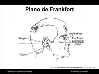 Diplomado Cardiología PreventivaPlano de FrankfortLee DR, Nieman CD. Nutritional Assessment. 2007:170 – 221. 
