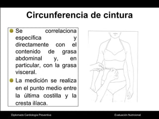 Diplomado Cardiología PreventivaCircunferencia de cinturaSe correlaciona específica y directamente con el contenido de grasa abdominal y, en particular, con la grasa visceral.La medición se realiza en el punto medio entre la última costilla y la cresta ilíaca.Casanueva E, Kaufer-Horwitz M. y cols. Nutriología médica. 2001:494 – 518. 
