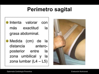 Diplomado Cardiología PreventivaPerímetro sagitalIntenta valorar con más exactitud la grasa abdominal.Medida (cm) de la distancia antero-posterior entre la zona umbilical y la zona lumbar (L4 – L5)Moreno B, Monereo S, Alvarez J. La obesidad en el tercer milenio. 2005:73 – 90. 