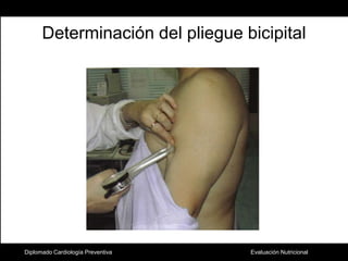 Determinación del pliegue bicipitalDiplomado Cardiología Preventiva