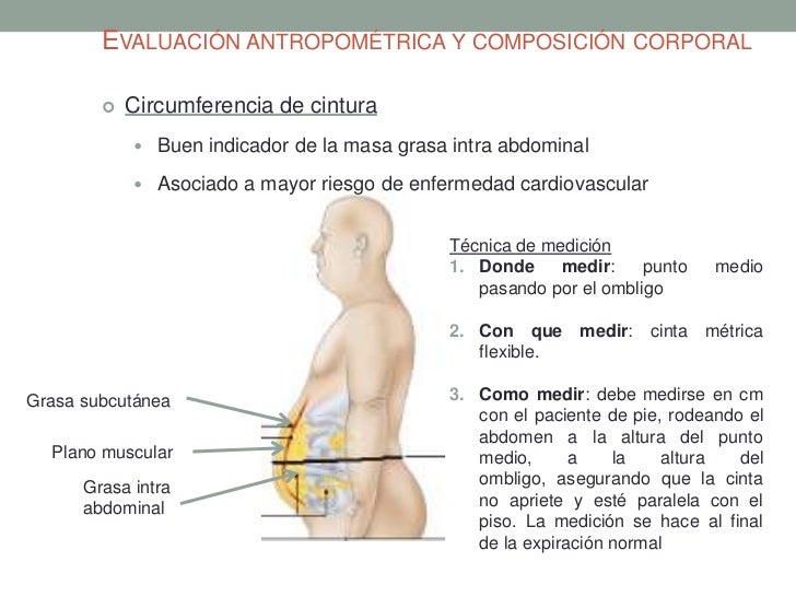 cinta de sexo euro grasa cinta de sexo euro grasa