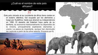 31
Este país ubicado al sur occidente de áfrica tiene costas en
el océano atlántico, fué ocupado por los alemanes y
luego por Sudáfrica, hasta que alcanzó su independencia
en 1990. El desierto del Kalahari hace parte de su
territorio, su economía tradicionalmente ha dependido de
la minería, principalmente explotando diamantes y
uranio; La pesca es importante, aunque han disminuido
las capturas a partir de los años setenta. Empieza por N.
¿Cuál es el nombre de este país
africano?
 