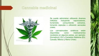 Se puede administrar utilizando diversos
métodos incluyendo vaporizadores,
fumándolo, consumiendo extractos,
tomando capsulas o utilizando aerosoles
orales.
Los cannabinoides sintéticos están
disponibles como medicamentos
recetados en algunos países, por ejemplo:
Dronabinol ( EU y Canadá)o Nabilone (EU,
Canadá, México y Reino Unido)
 