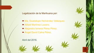 Legalización de la Marihuana por:
 Ma. Guadalupe Hernández Velázquez.
 Alitzel Martínez Lozano.
 Alejandra Ismerai Pérez Pérez.
 Ángel David Calva Pérez.
Abril del 2016.
 