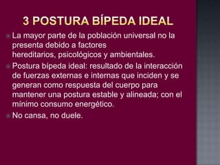  La

mayor parte de la población universal no la
presenta debido a factores
hereditarios, psicológicos y ambientales.
 Postura bípeda ideal: resultado de la interacción
de fuerzas externas e internas que inciden y se
generan como respuesta del cuerpo para
mantener una postura estable y alineada; con el
mínimo consumo energético.
 No cansa, no duele.

 