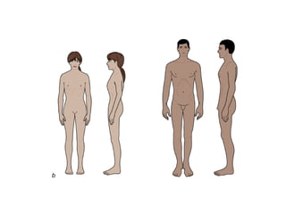 Evaluación_Postural.pdf