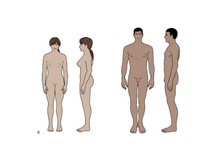Evaluación_Postural.pdf