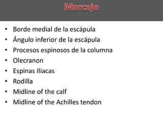 • Borde medial de la escápula
• Ángulo inferior de la escápula
• Procesos espinosos de la columna
• Olecranon
• Espinas Iliacas
• Rodilla
• Midline of the calf
• Midline of the Achilles tendon
 