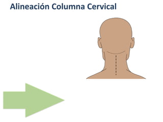 Alineación Columna Cervical
 