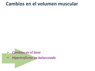 Cambios en el volumen muscular
• Cambios en el tono
• Hipertrofismo no balanceado
 