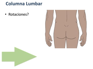 Columna Lumbar
• Rotaciones?
 