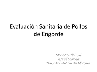 Evaluación Sanitaria de Pollos
         de Engorde


                    M.V. Eddie Otarola
                     Jefe de Sanidad
              Grupo Los Molinos del Marques
 