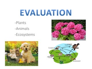 -Plants
-Animals
-Ecosystems
 