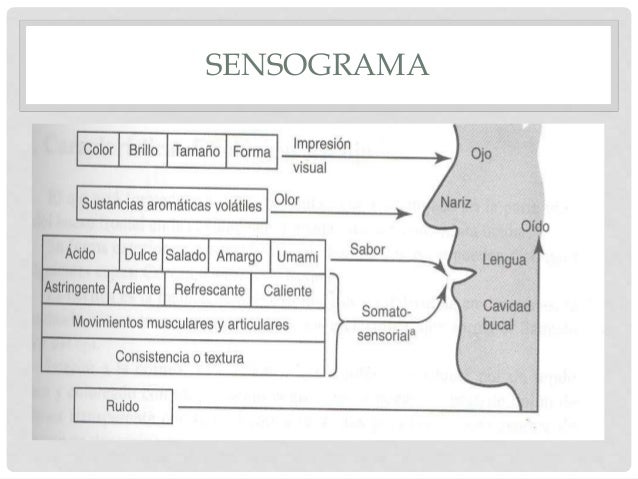 Evaluación sensorial 1
