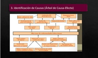 3. Identificación de Causas (Árbol de Causa-Efecto)
 