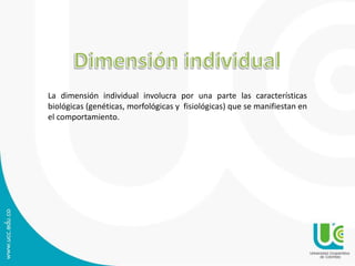 La dimensión individual involucra por una parte las características 
biológicas (genéticas, morfológicas y fisiológicas) que se manifiestan en 
el comportamiento. 
 