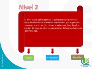 El nivel causal corresponde a la descripción de diferentes 
tipos de relación entre eventos ambientales y el organismo 
mientras que en los dos niveles inferiores se describen los 
efectos de estos en diversas expresiones del comportamiento 
del individuo. 
Motor Conductual Cognitivo 
 