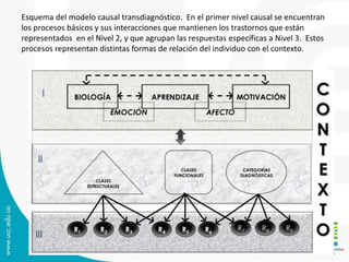 Esquema del modelo causal transdiagnóstico. En el primer nivel causal se encuentran 
los procesos básicos y sus interacciones que mantienen los trastornos que están 
representados en el Nivel 2, y que agrupan las respuestas específicas a Nivel 3. Estos 
procesos representan distintas formas de relación del individuo con el contexto. 
 