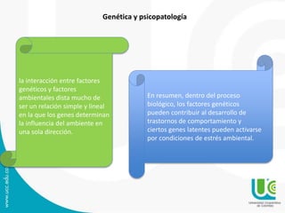 Genética y psicopatología 
la interacción entre factores 
genéticos y factores 
ambientales dista mucho de 
ser un relación simple y lineal 
en la que los genes determinan 
la influencia del ambiente en 
una sola dirección. 
En resumen, dentro del proceso 
biológico, los factores genéticos 
pueden contribuir al desarrollo de 
trastornos de comportamiento y 
ciertos genes latentes pueden activarse 
por condiciones de estrés ambiental. 
 