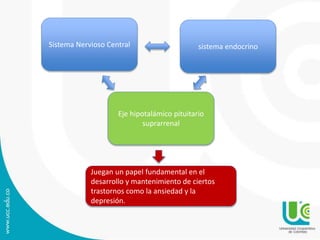 Sistema Nervioso Central sistema endocrino 
Eje hipotalámico pituitario 
suprarrenal 
Juegan un papel fundamental en el 
desarrollo y mantenimiento de ciertos 
trastornos como la ansiedad y la 
depresión. 
 