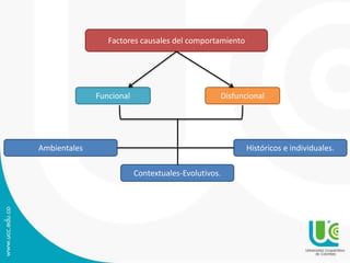 Factores causales del comportamiento 
Funcional Disfuncional 
Ambientales 
Contextuales-Evolutivos. 
Históricos e individuales. 
 