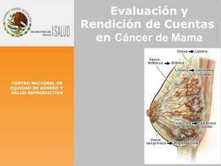 CENTRO NACIONAL DE EQUIDAD DE GÉNERO Y  SALUD REPRODUCTIVA Evaluación y Rendición de Cuentas  en  Cáncer de Mama Abril  2009 