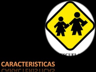 CARACTERISTICAS